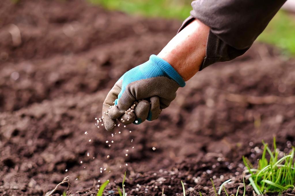 Productores pagan 80% más por los fertilizantes, los cuales les permiten tener mayor productividad en sus cultivos.