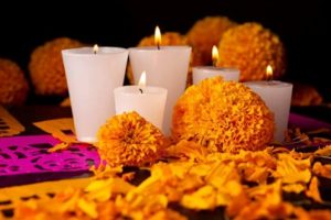 ¿Por qué las flores de cempasúchil son tan importantes en la ofrenda de Día de Muertos? 💮💮