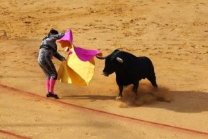 Corridas de toros sí, pero sin mole: Partido Verde va por “espectáculos sin sangre” 🚫🚫