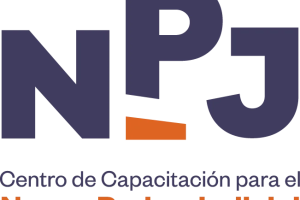 El centro de capacitación del Nuevo Poder Judicial (CCNPJ) lanza seminario internacional campañas electorales para personas candidatas al poder judicial